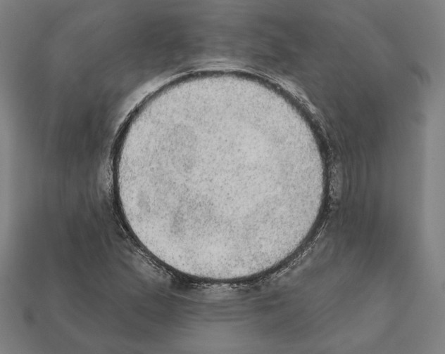 X0000112021167200909141030