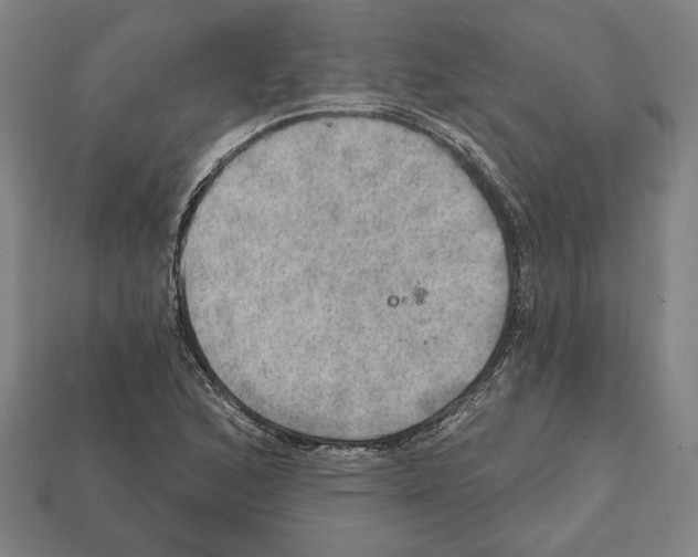 X0000112021168200909141030