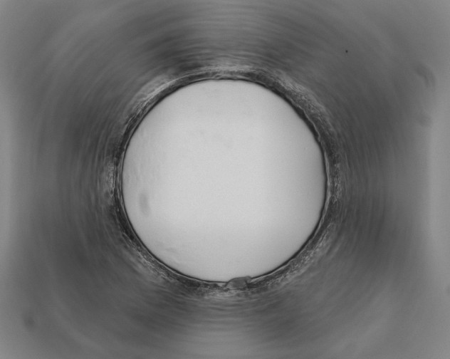 X0000112021169200909141030