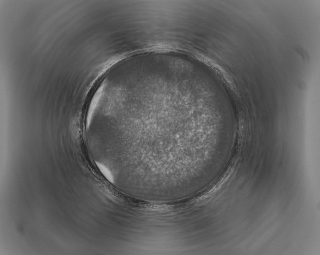 X0000112021170200909141030