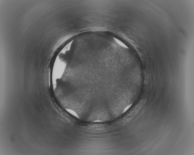 X0000112021171200909141030