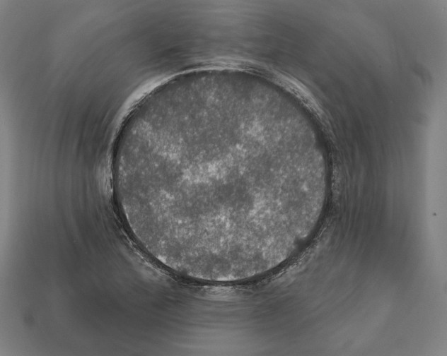 X0000112021172200909141030