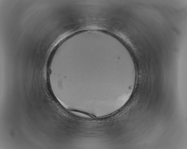 X0000112021173200909141030