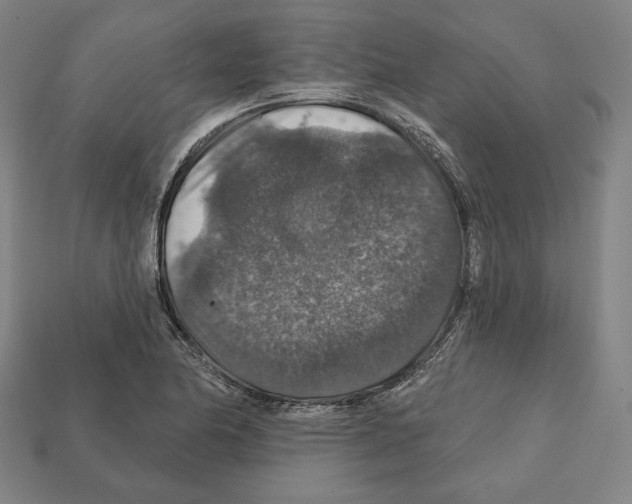 X0000112021174200909141030