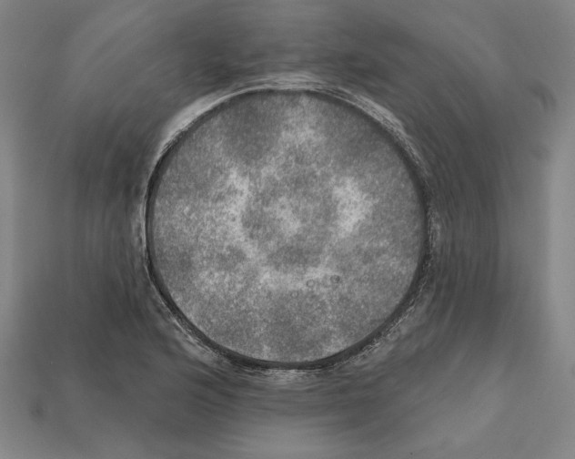 X0000112021176200909141030