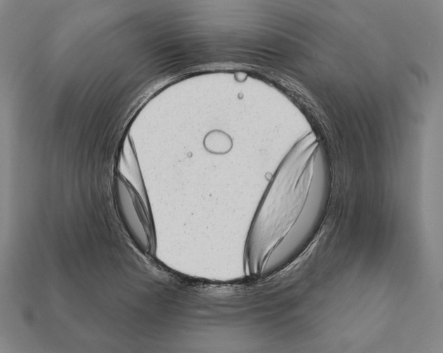 X0000112021177200909141030