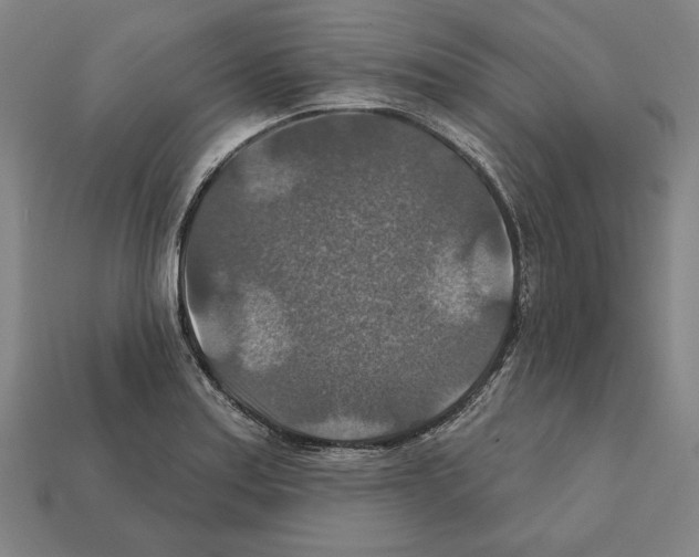 X0000112021179200909141030