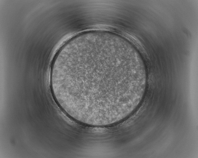 X0000112021180200909141030