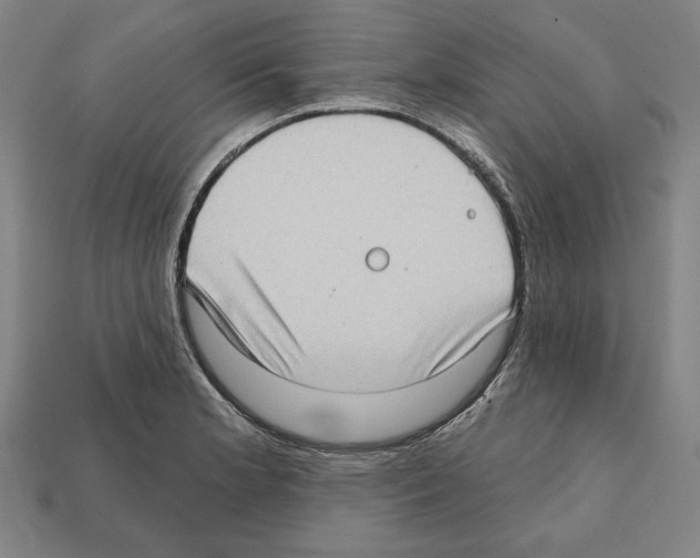 X0000112021181200909141030