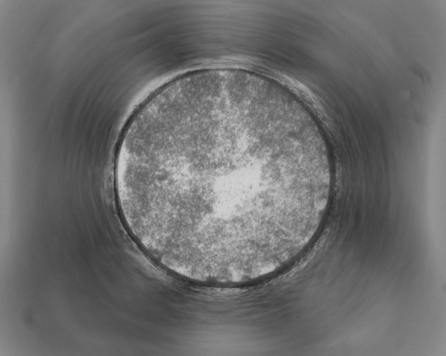 X0000112021184200909141030