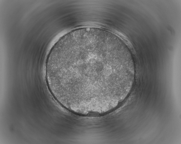 X0000112021188200909141030