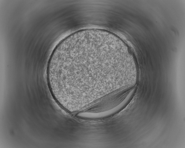 X0000112021189200909141030