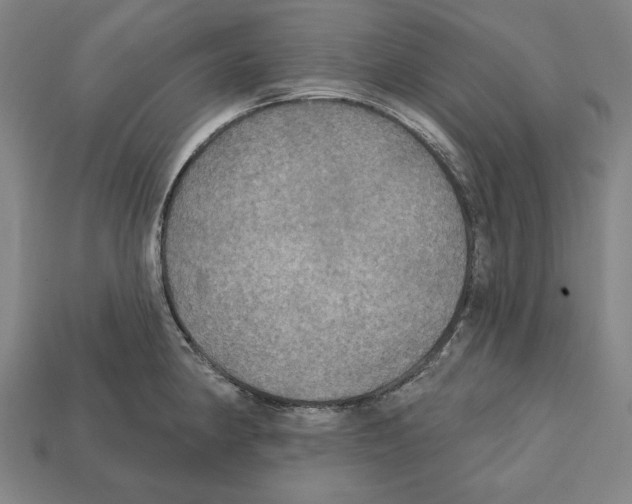 X0000112021190200909141030