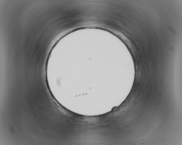 X0000112021191200909141030