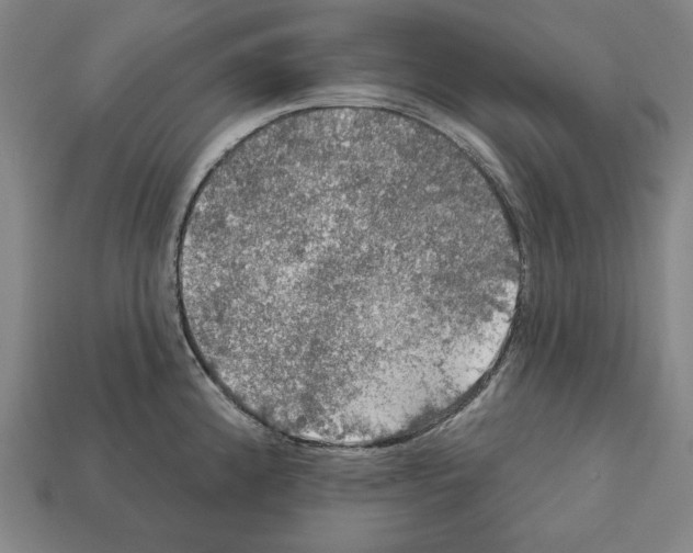 X0000112021192200909141030