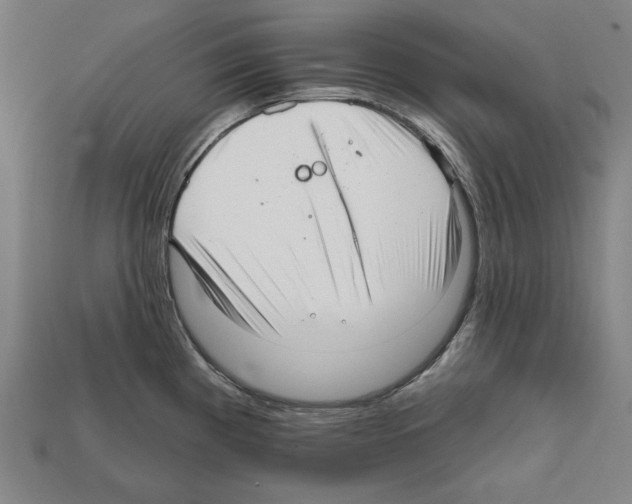 X0000112021193200909141030