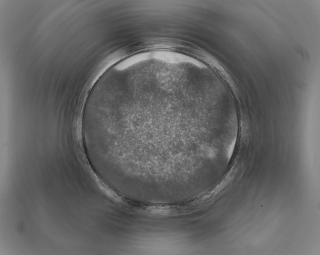 X0000112021194200909141030