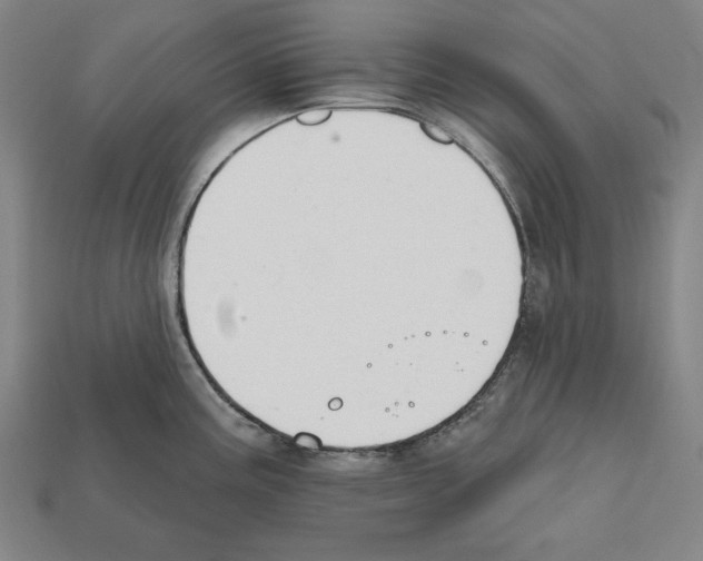 X0000112021195200909141029