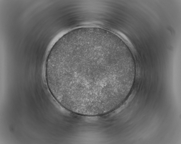 X0000112021196200909141029