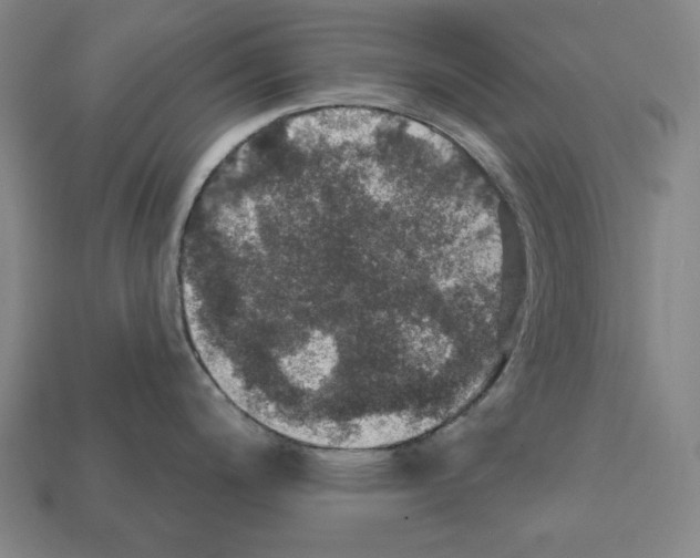 X0000112021200200909141029