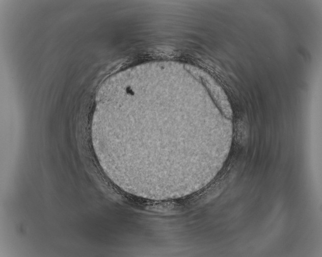 X0000112021201200909141029