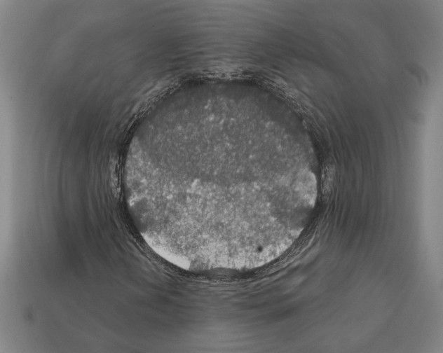 X0000112021202200909141029