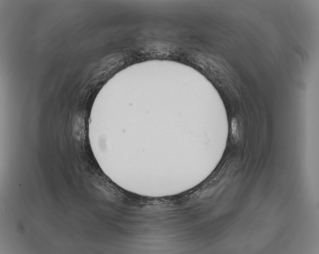 X0000112021203200909141029