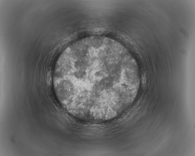 X0000112021204200909141029