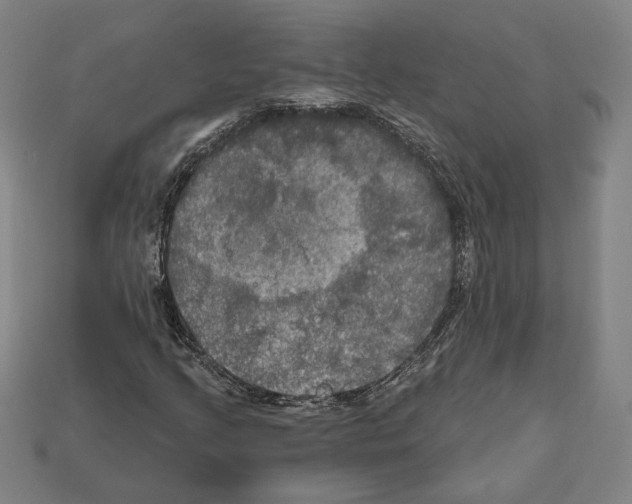 X0000112021205200909141029