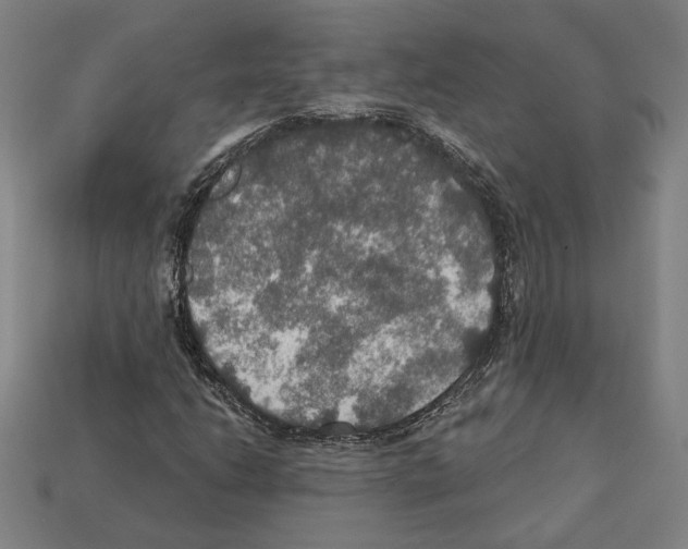 X0000112021206200909141029