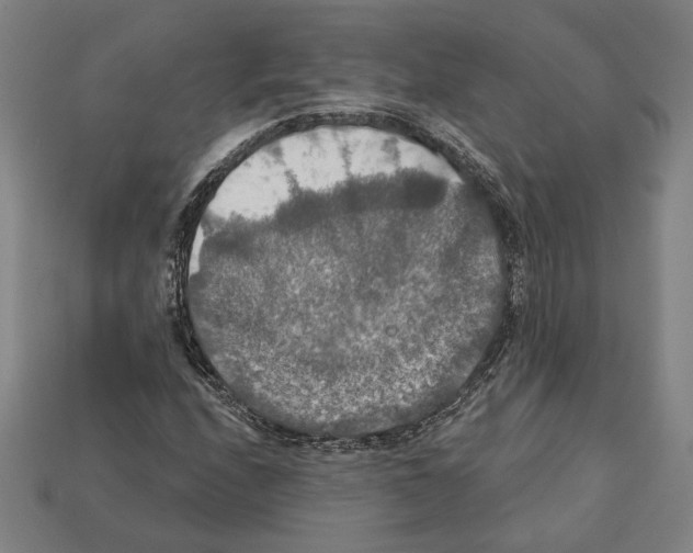 X0000112021208200909141029