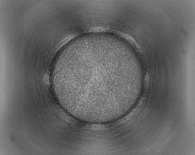 X0000112021209200909141029