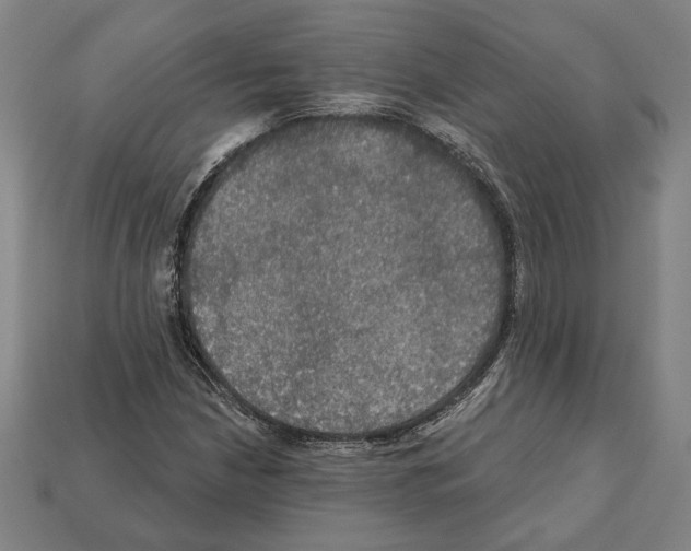 X0000112021210200909141029