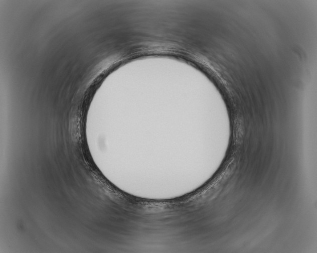 X0000112021211200909141029