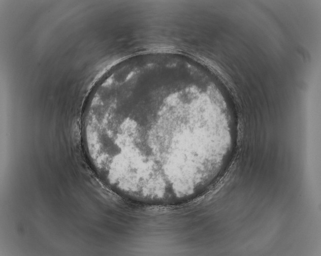 X0000112021212200909141029