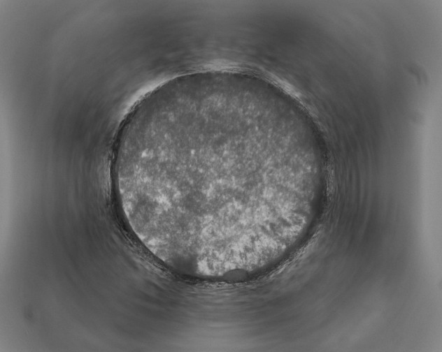 X0000112021214200909141029