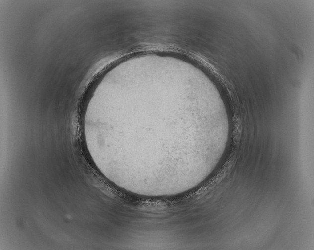 X0000112021215200909141029