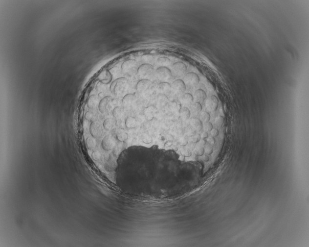 X0000112021216200909141029