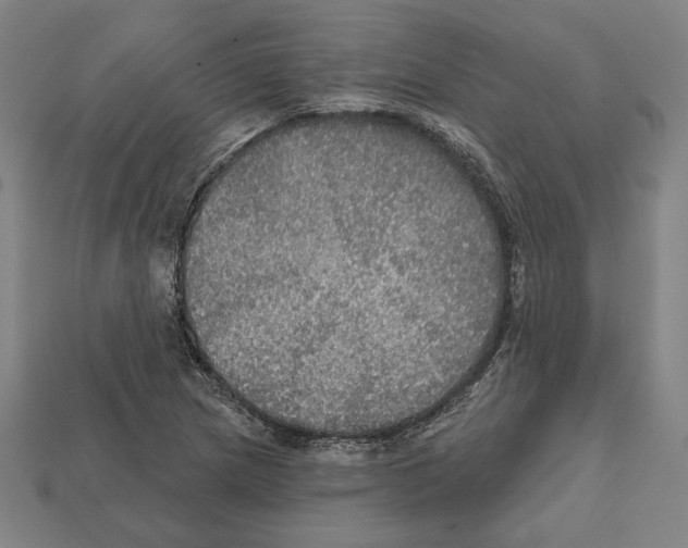 X0000112021217200909141029