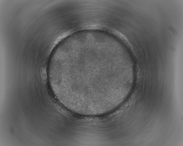 X0000112021218200909141029