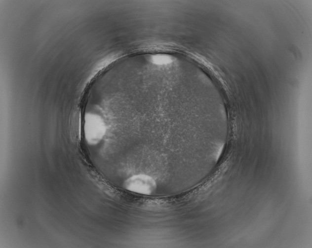 X0000112021219200909141029