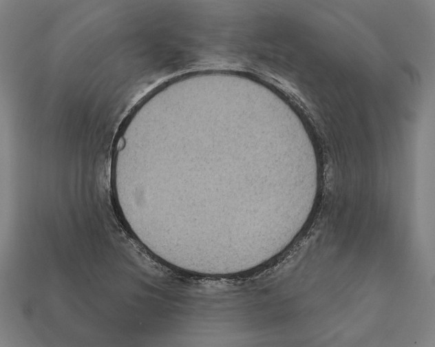 X0000112021220200909141029