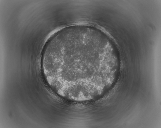 X0000112021222200909141029