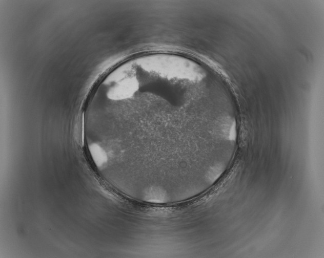 X0000112021223200909141029