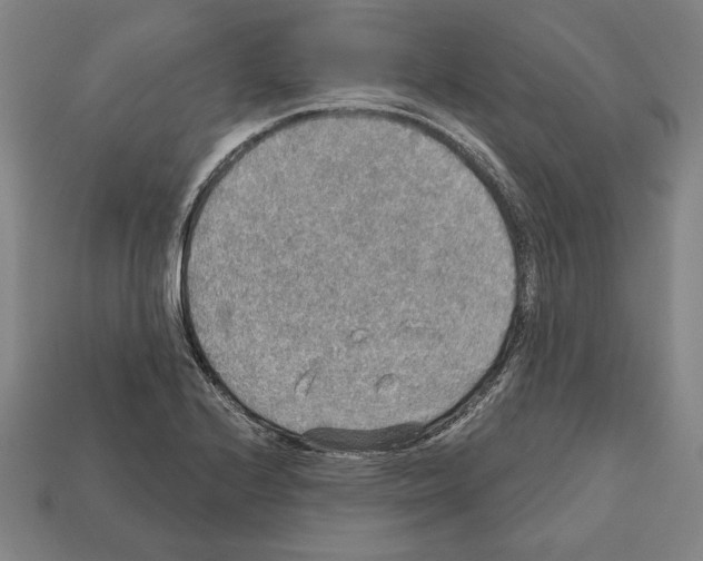 X0000112021224200909141029