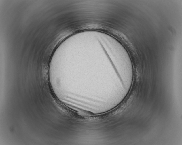 X0000112021225200909141029