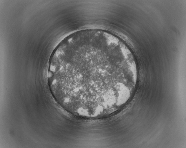 X0000112021228200909141029