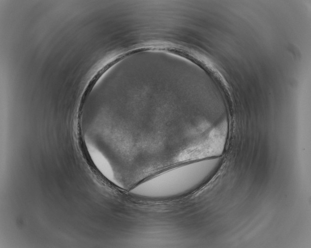 X0000112021229200909141029