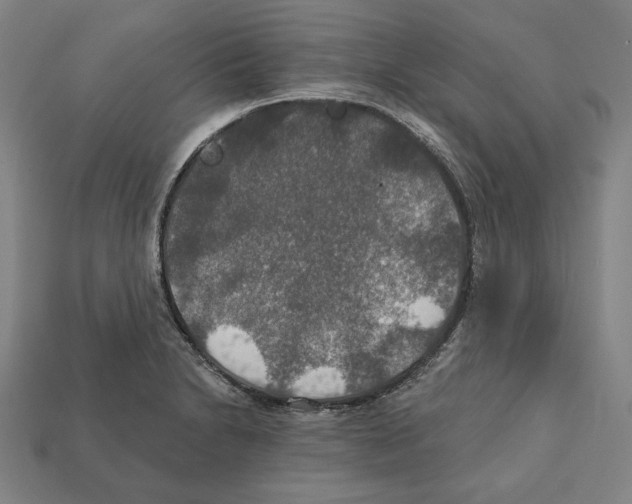 X0000112021230200909141029