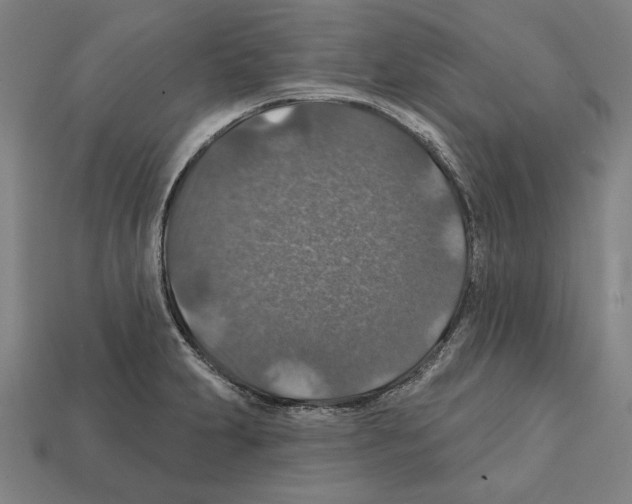 X0000112021231200909141029